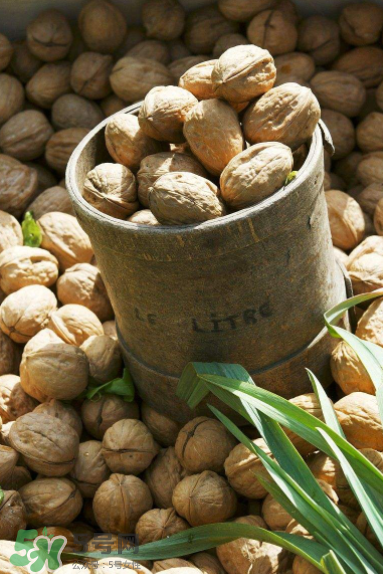 核桃泡酒的功效和作用,核桃和酒一起吃有什么功效