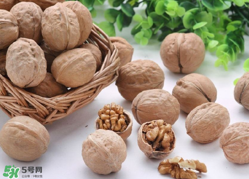 核桃的药用价值和功效,核桃壳的药用价值