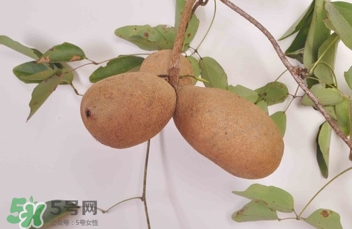 八月炸可以放多久,八月炸什么时候可以吃