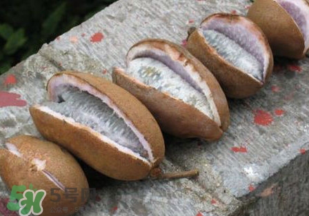 八月炸是八月瓜吗,八月炸和八月瓜有什么区别