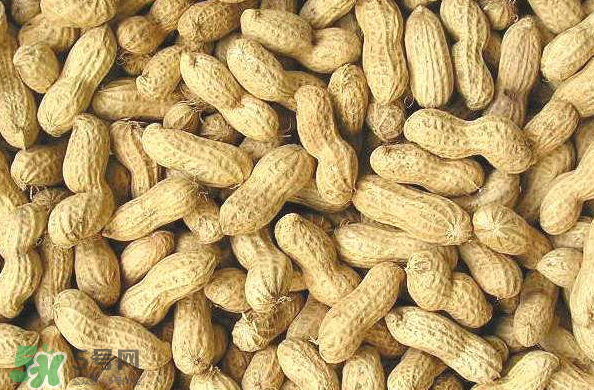 食用花生的注意事项,吃花生注意事项