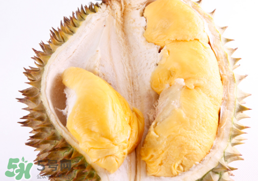 榴莲发酸能吃吗,榴莲有点发酸能吃不 榴莲发酸能吃吗,榴莲有点发酸能吃不
