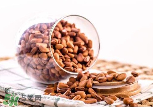 松子可以放冰箱吗,松子可以放冰箱保存吗 松子可以放冰箱吗,松子可以放冰箱保存吗