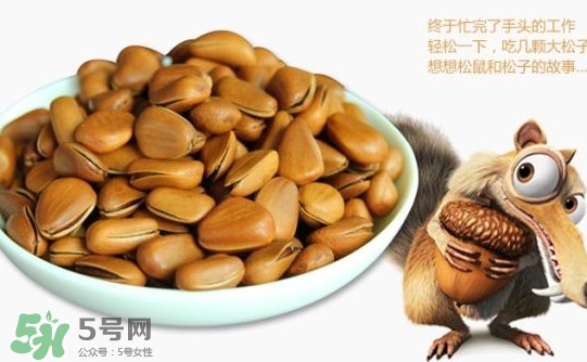 生松子怎么保存,新鲜松子的储存方法