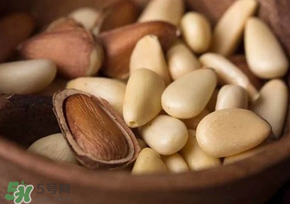 松子仁的功效和作用及食用方法,松子仁的功效和作用