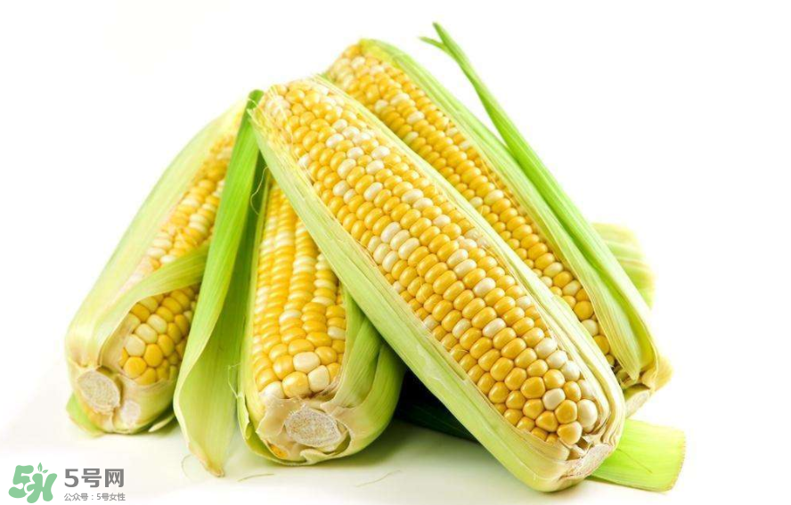 三伏三九的养生重要性,三伏天节气 三伏三九的养生重要性,三伏天节气