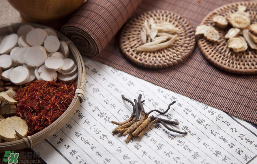 具有清热降火的中草药,清热降火的草药