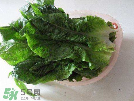 莴笋叶煮水能治荨麻疹,荨麻疹可以吃莴笋叶吗 莴笋叶煮水能治荨麻疹,荨麻疹可以吃莴笋叶吗