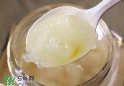 男人吃雪蛤的功效和作用,男人可以吃雪蛤吃了最明显效果