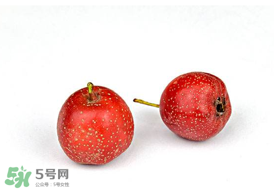 菊花茶加什么好,菊花和什么泡水喝好 菊花茶加什么好,菊花和什么泡水喝好