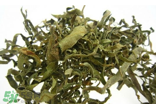 柿子叶的特征,柿子叶的特征描写