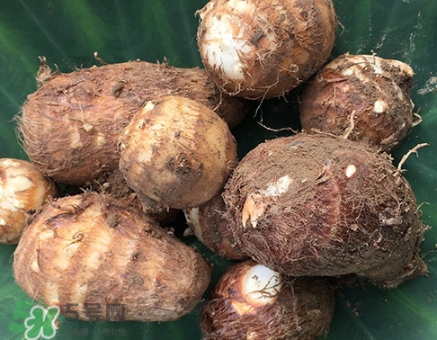 吃芋头注意事项,芋头的吃法和禁忌