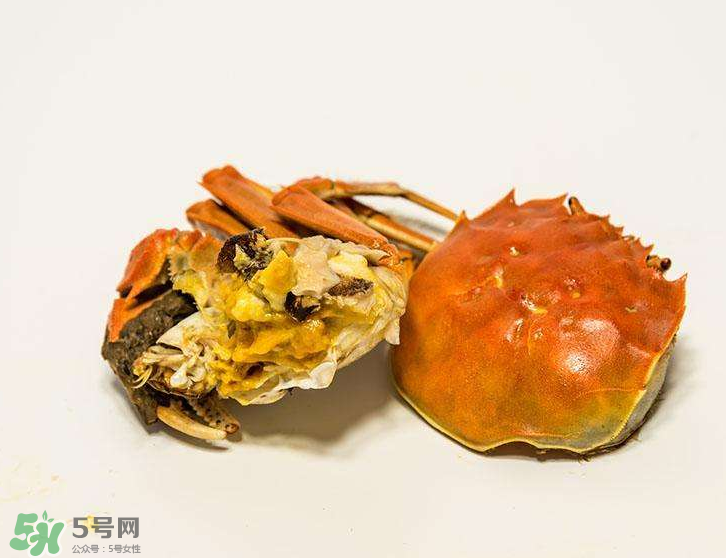 哪种螃蟹蟹黄最多,什么样的螃蟹蟹黄多