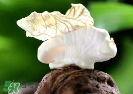 新鲜核桃仁去皮小妙招,新鲜核桃仁怎么去皮