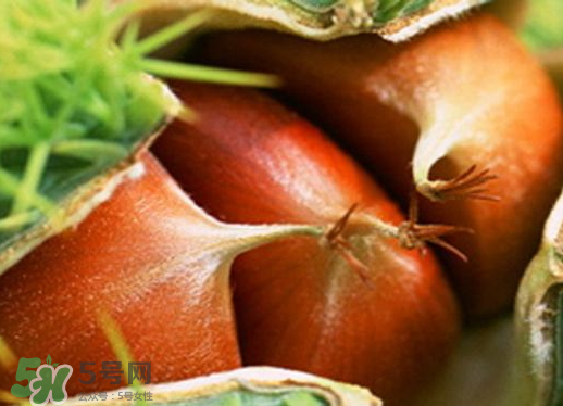 板栗泡酒的方法和步骤,板栗泡酒的正确做法