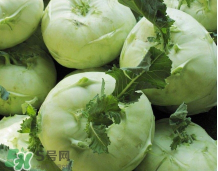 广东大头菜又叫什么菜,大头菜又叫什么菜