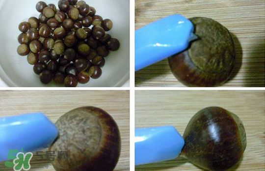 煮板栗怎么切口子,煮板栗怎么切口容易剥开 煮板栗怎么切口子,煮板栗怎么切口容易剥开