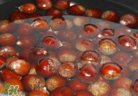 煮板栗的技巧是什么,怎么正确的煮板栗