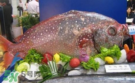 月亮鱼能吃吗,月亮鱼怎么吃