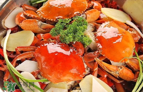 十月份吃什么螃蟹,十月份吃什么螃蟹公母