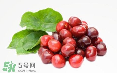 蔓越莓的功效和作用对女性,蔓越莓的功效和作用禁忌 蔓越莓的功效和作用对女性,蔓越莓的功效和作用禁忌