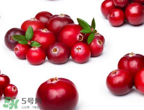 蔓越莓是酸性还是碱性食物,蔓越莓有什么功效和作用 蔓越莓是酸性还是碱性食物,蔓越莓有什么功效和作用