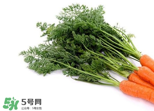 泡萝卜怎么做才好吃而且脆酸甜,怎样煮萝卜好吃