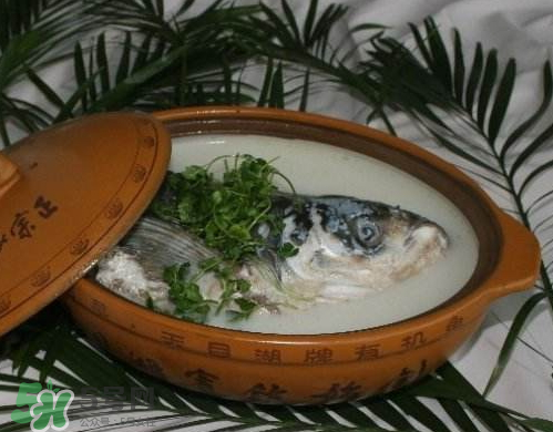 鲢鱼头汤孕妇可以吃吗,产妇能吃鲢鱼头汤吗 鲢鱼头汤孕妇可以吃吗,产妇能吃鲢鱼头汤吗