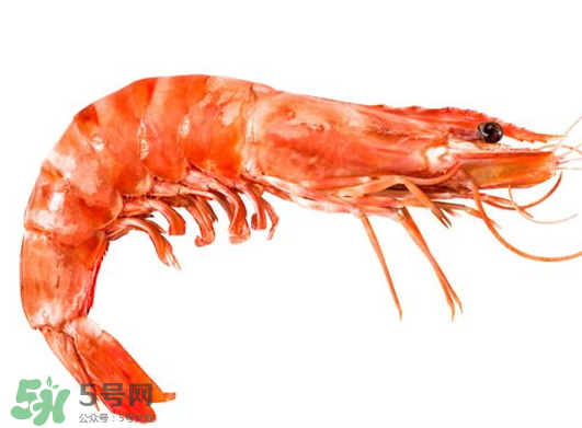 河虾和海虾的区别图片,河虾和海虾的区别及营养价值