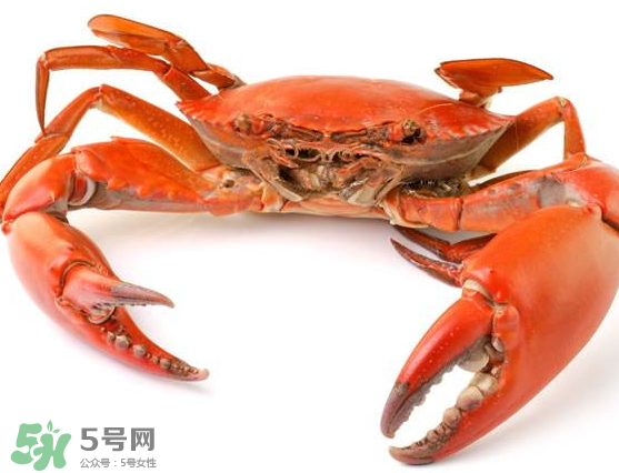 大闸蟹的功效和作用及营养,大闸蟹的功效和作用及食用方法