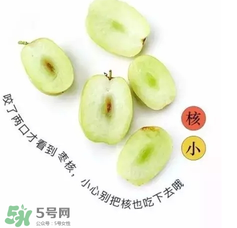 金丝枣的功效和作用禁忌,金丝枣的功效和作用及食用方法