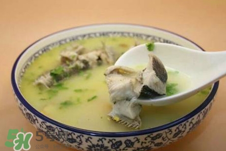 黑鱼汤是下奶还是回奶的,黑鱼汤回奶吗?