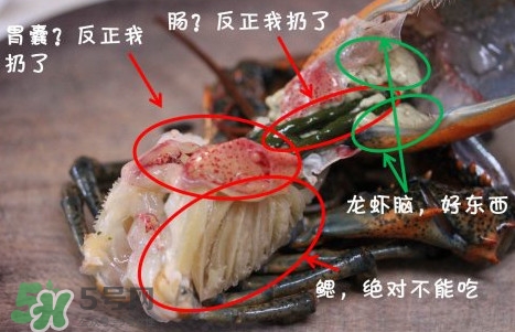 波士顿龙虾哪里不能吃图解,波士顿大龙虾多少钱一斤