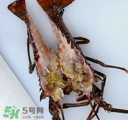 波士顿龙虾怎么处理干净图解,波士顿龙虾怎么处理干净