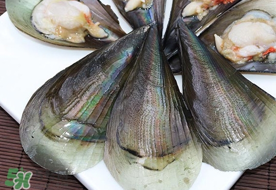 海鲜带子怎么清洗,新鲜带子怎么清洗