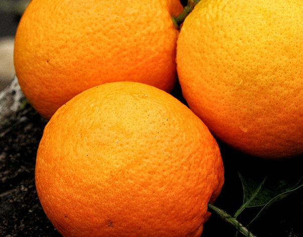 褚橙的营销策略,褚橙是如何销售的 褚橙的营销策略,褚橙是如何销售的