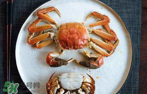 啤酒蒸大闸蟹的做法步骤,大闸蟹 啤酒蒸