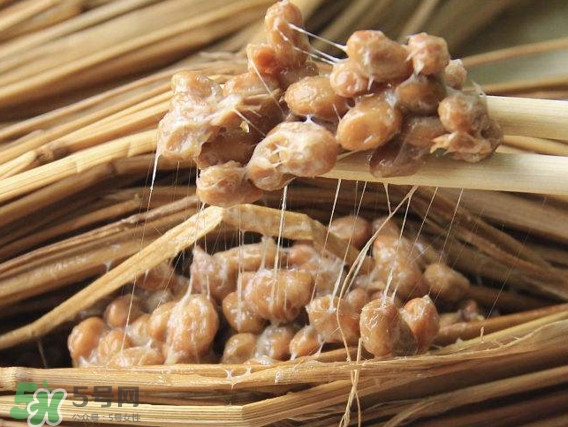 纳豆的功效和作用哪些人不宜吃,纳豆的功效和作用禁忌每天吃多少 纳豆的功效和作用哪些人不宜吃,纳豆的功效和作用禁忌每天吃多少