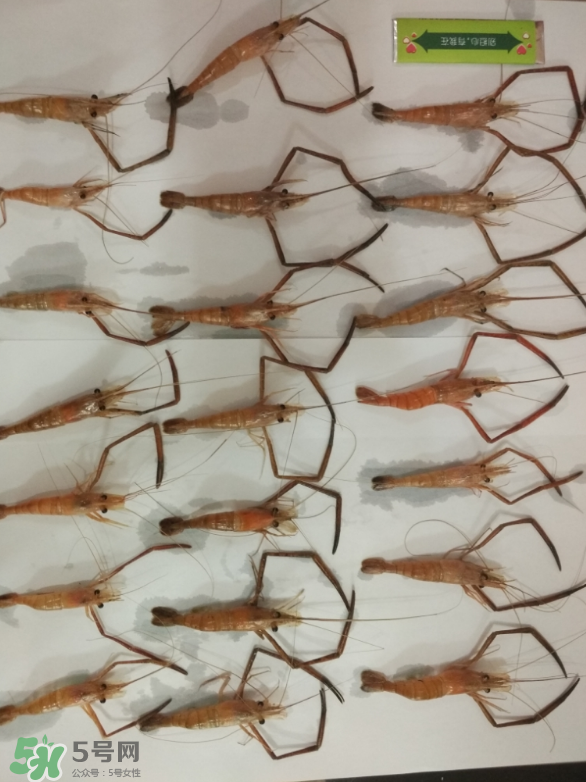 海鲜的定义是什么意思,海鲜的品种 海鲜的定义是什么意思,海鲜的品种