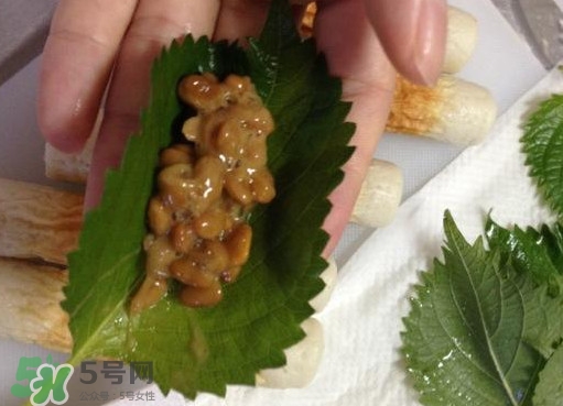 纳豆和豆豉的区别,纳豆和豆豉的区别是什么 纳豆和豆豉的区别,纳豆和豆豉的区别是什么