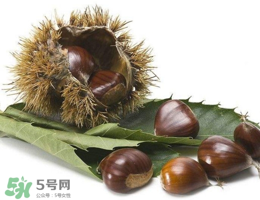 板栗壳有什么作用,板栗壳的作用