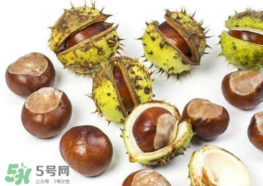 怎样剥板栗壳最快方法视频,快速剥栗子外壳的方法 怎样剥板栗壳最快方法视频,快速剥栗子外壳的方法