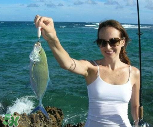 9月份钓鱼用什么饵料好,9月份钓鱼用什么饵料