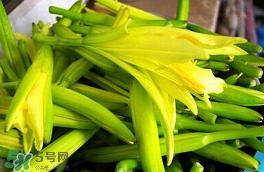 吃黄花菜有什么禁忌,黄花菜的禁忌食物