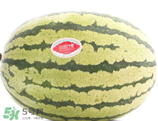 石瓜功能和作用,石瓜子功能和作用