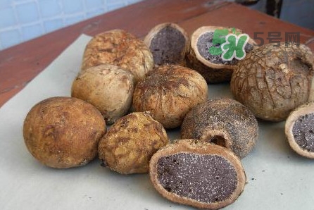 松露怎么保存最好,松露怎么保存时间更长