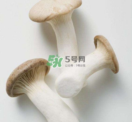 杏鲍菇怎么做好吃法大全 视频,杏鲍菇怎么做好吃家常