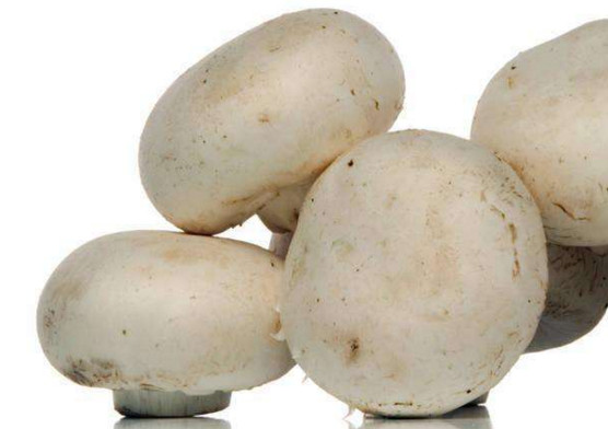 白蘑菇,白蘑菇有毒吗?