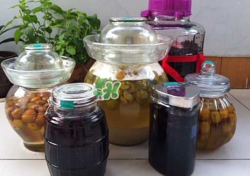 水果酵素是什么味道,果蔬酵素是什么味道 水果酵素是什么味道,果蔬酵素是什么味道