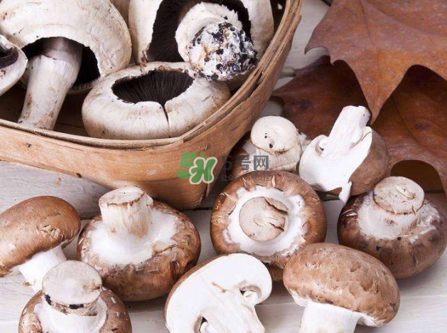 蘑菇怎么保存时间长,蘑菇怎么保存?